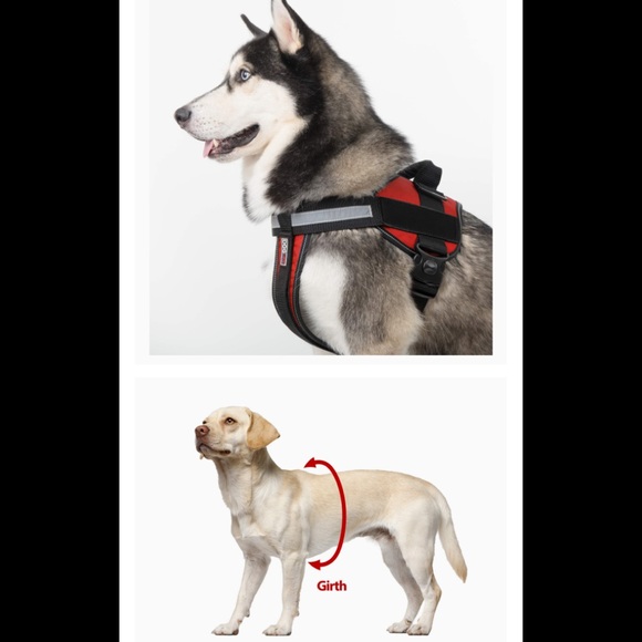 DogLine S dog harness - black & red and reflective - Picture 10 of 11